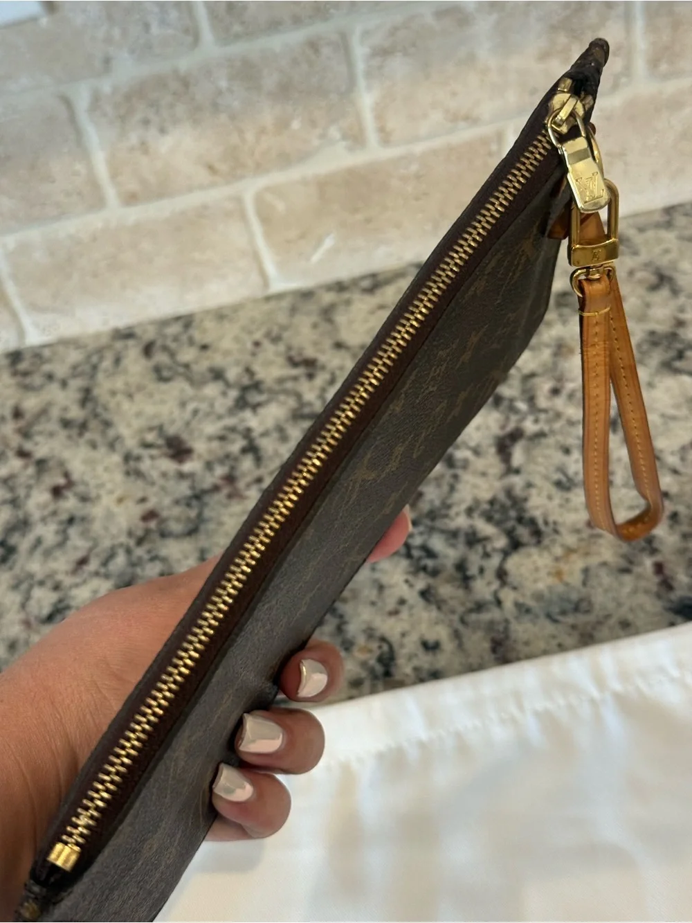 Louis Vuitton Monogram Neverfull Pouch